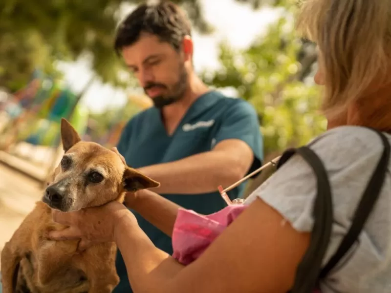 Se realizará una charla sobre bienestar animal y salud pública