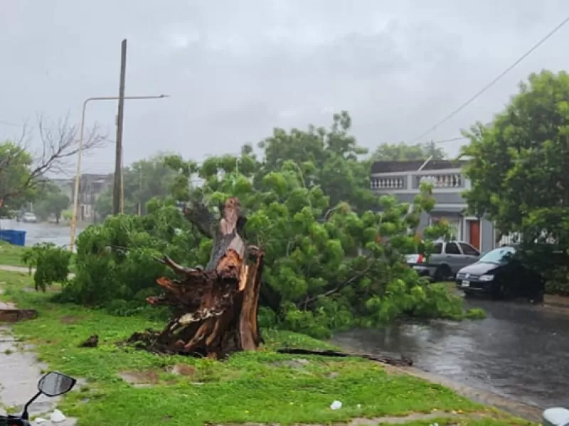 La Municipalidad trabaja para asistir a vecinos afectados por el temporal