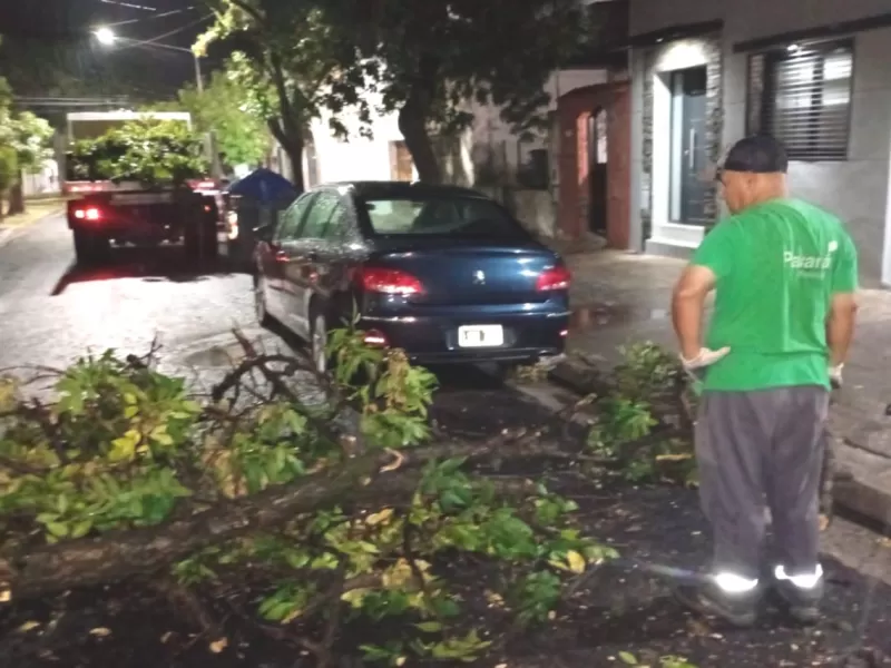 La Municipalidad despleg&oacute; un plan de contingencia ante la inclemencia clim&aacute;tica