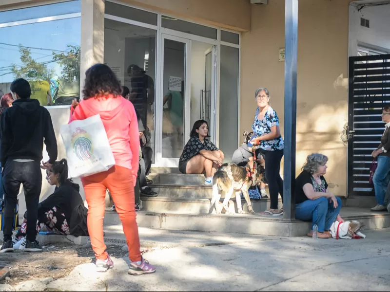 La Municipalidad no brinda servicio de transporte de mascotas