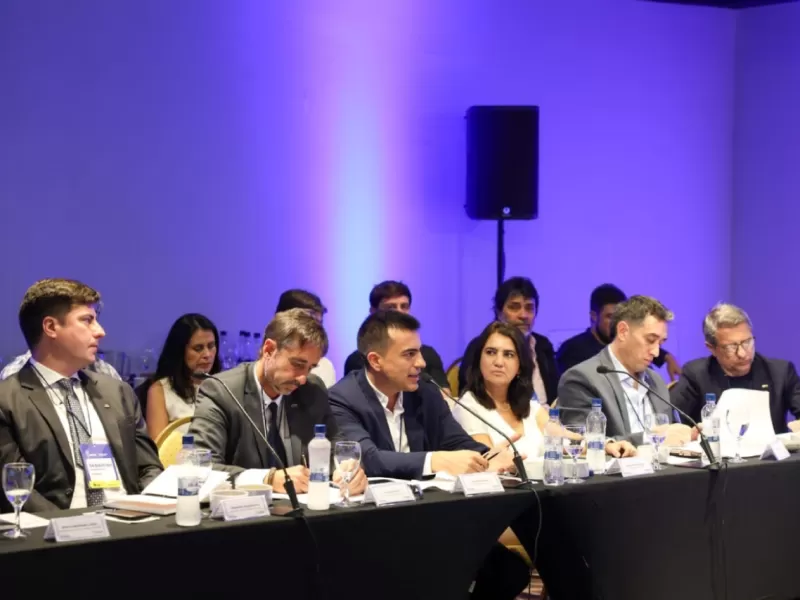 El viceintendente David Cáceres participó del Consejo Federal de Intendentes