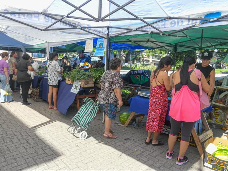 Se realiza la &uacute;ltima edici&oacute;n del a&ntilde;o de la Feria en Tu Barrio