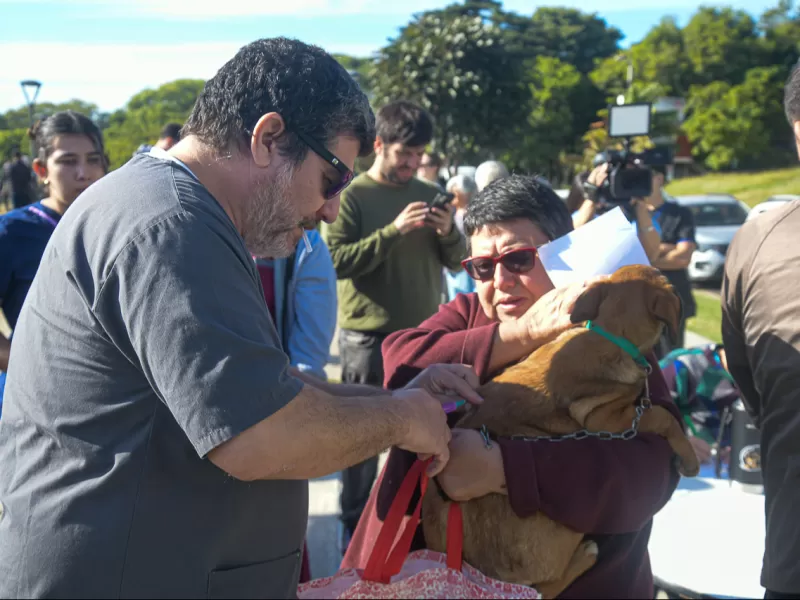 Paraná conmemoró el Día del Animal con una jornada de vacunación y educación