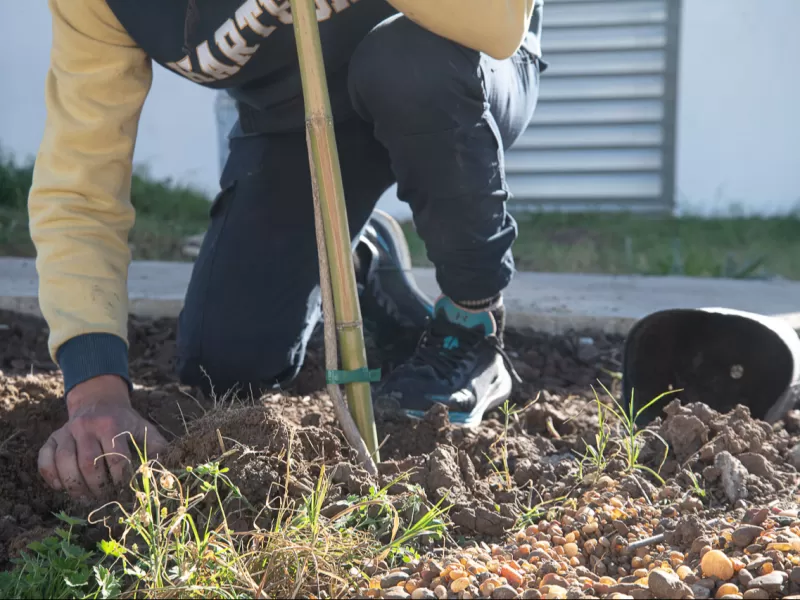 El Municipio realiz&oacute; una jornada por el D&iacute;a Mundial de la Tierra con jardineritos