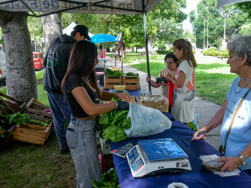 La Feria en tu barrio estar&aacute; en cuatro sectores de la ciudad