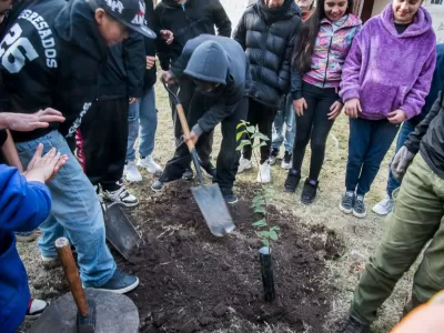 Refuerzan la plantaci&oacute;n de &aacute;rboles nativos en Paran&aacute;