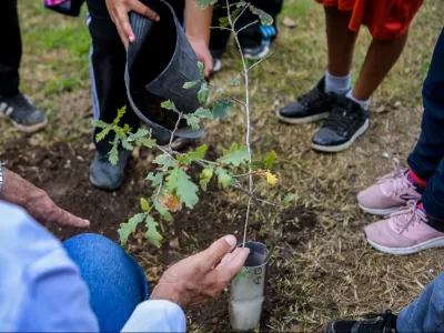 El Municipio celebr&oacute; el D&iacute;a del Ambiente con una jornada de concientizaci&oacute;n para escuelas