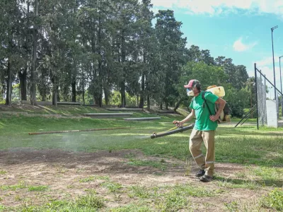 Refuerzan con fumigaciones peri&oacute;dicas el control de plagas y vectores