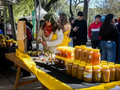 Semana de la Miel con ferias de producciones locales